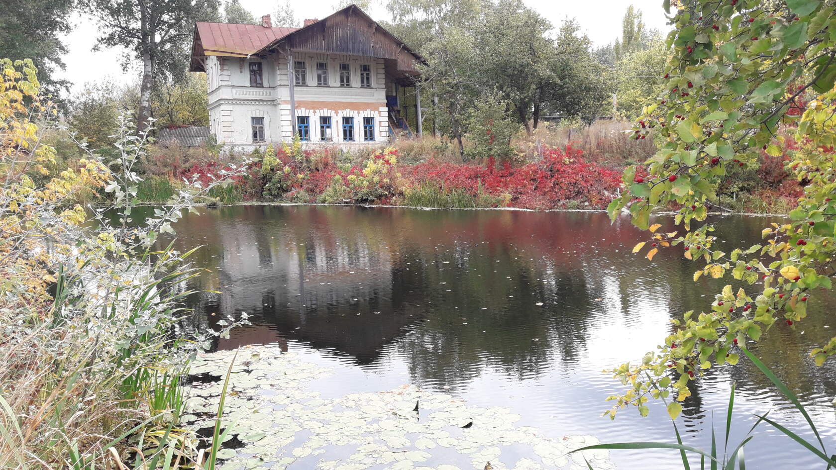 Усадьба Лисаневичей на берегу реки Толучеевка.